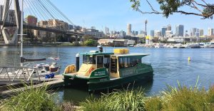 The Minicat vessel docked at a wharf with vegetation around it and a bridge and buildings in the background